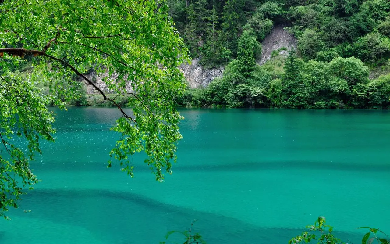 高端高端